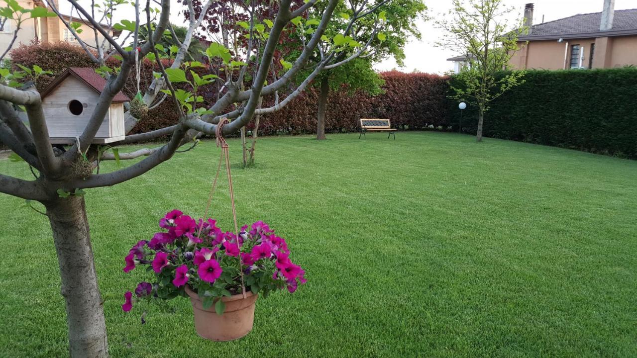 Vigonovo  Il Farfasole Bed & Breakfast エクステリア 写真