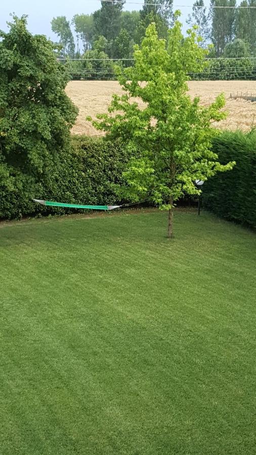 Vigonovo  Il Farfasole Bed & Breakfast エクステリア 写真