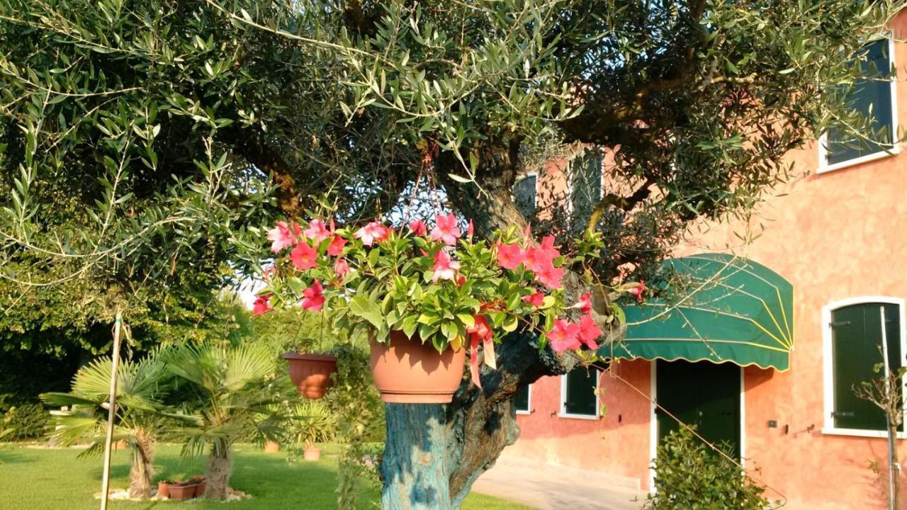 Vigonovo  Il Farfasole Bed & Breakfast エクステリア 写真
