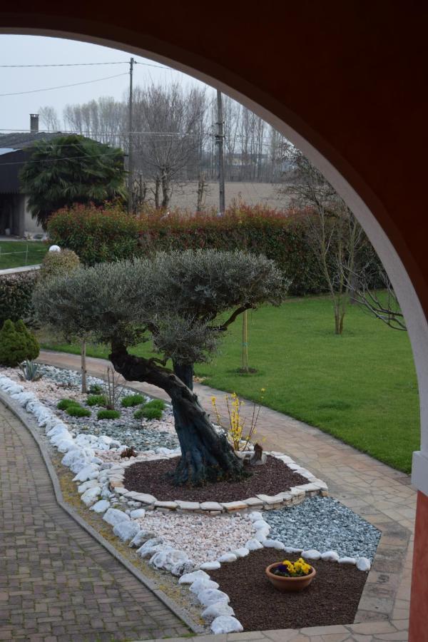 Vigonovo  Il Farfasole Bed & Breakfast エクステリア 写真