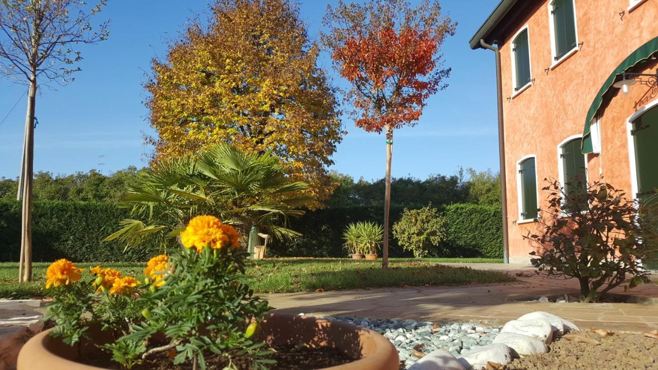Vigonovo  Il Farfasole Bed & Breakfast エクステリア 写真